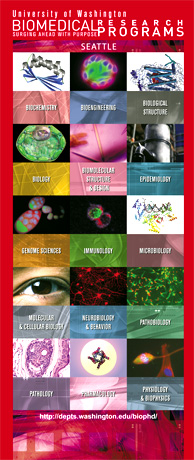 Poster for University of Washington Biomedical Ph.D. Programs