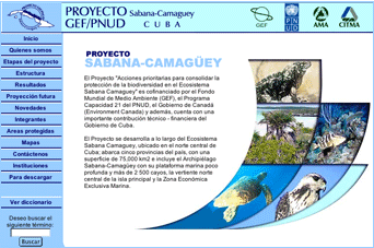 Website for Ecology Project