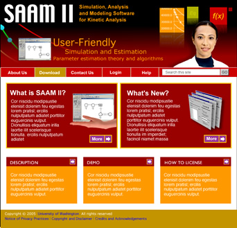Website for SAAM II